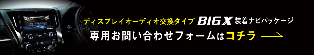 デイスプレイオデイオ取り外しタイプBIG X 装着ナビパッケジ