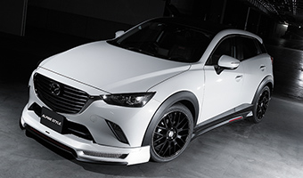 CX-3