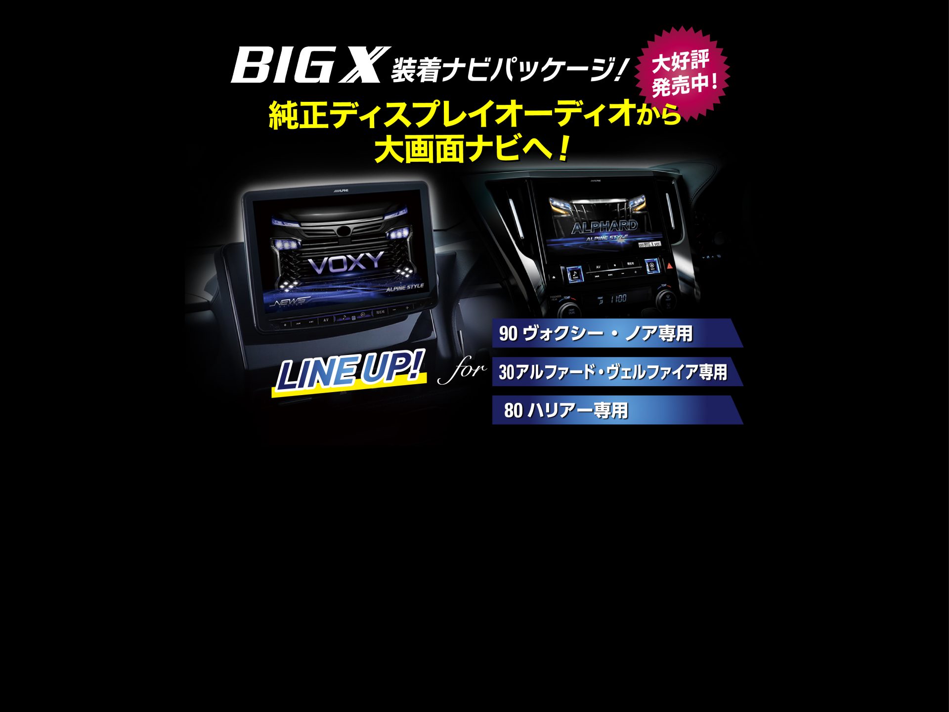 BIG X 装着ナビパッケージ