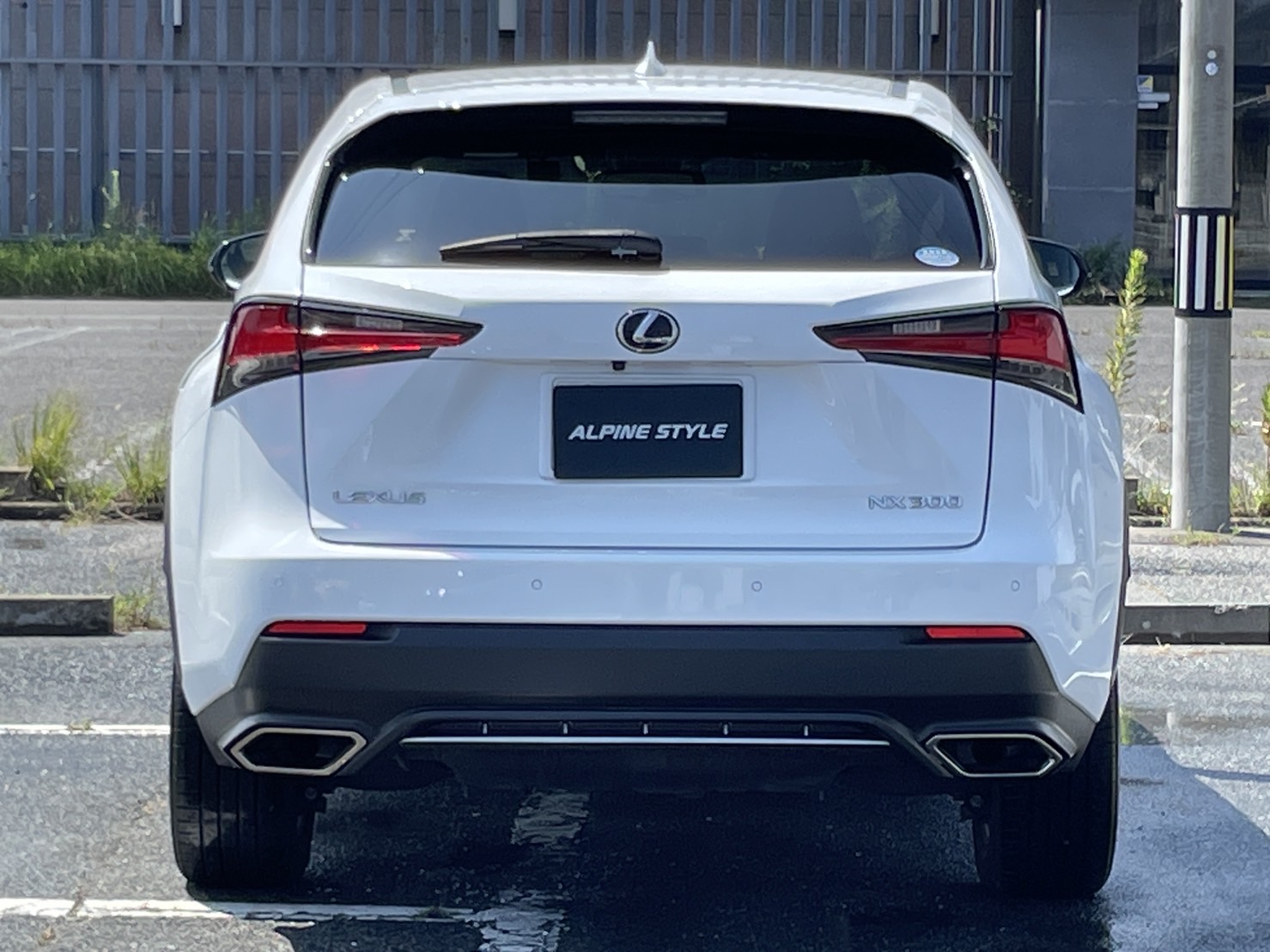 レクサス NX 300Fスポーツ