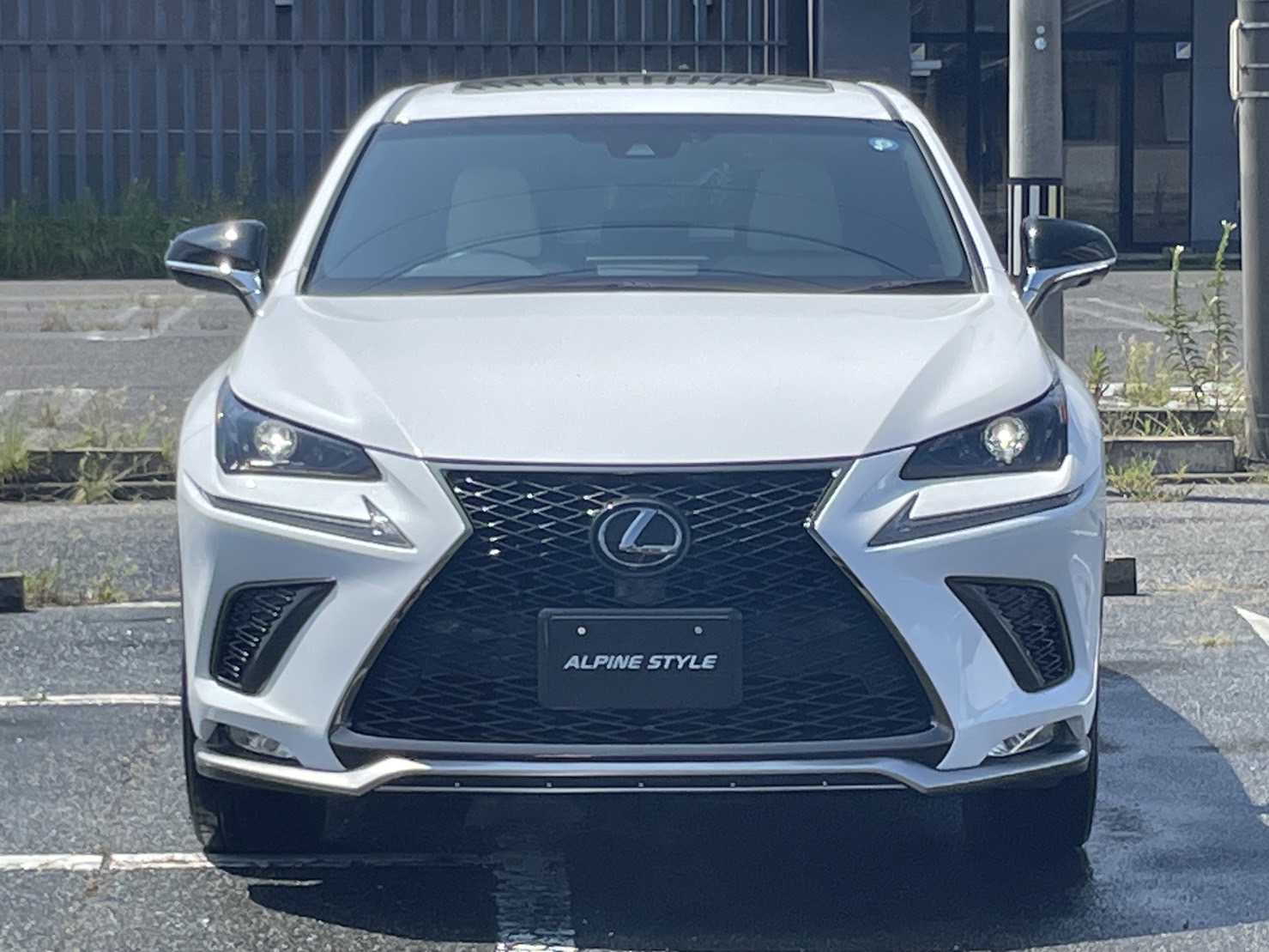 レクサス NX 300Fスポーツ