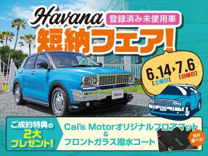 Havana短納フェア