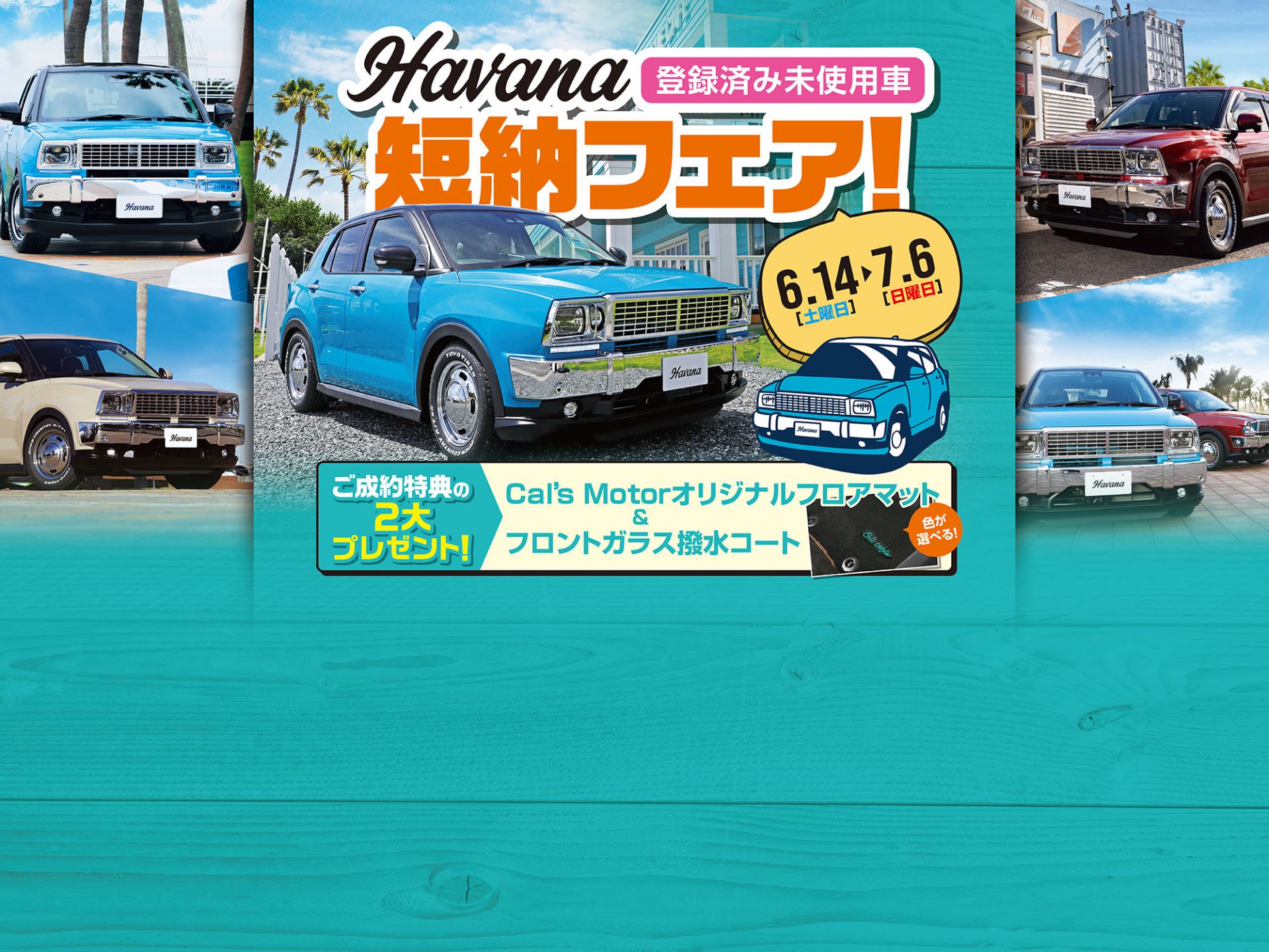 Havana短納フェア開催
